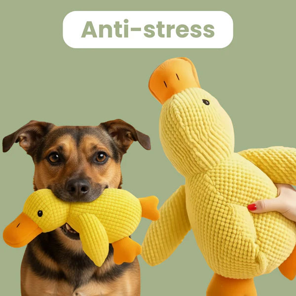 Canard anti-stress