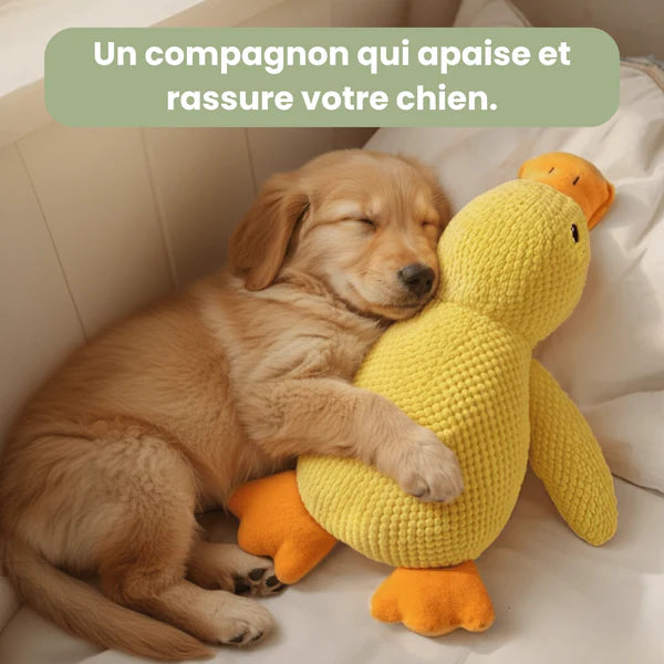 Canard anti-stress