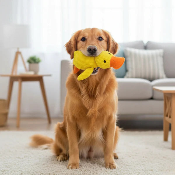 Canard anti-stress