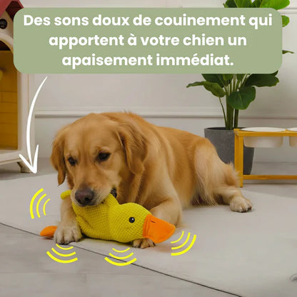 Canard anti-stress