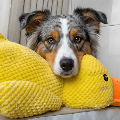 Canard anti-stress