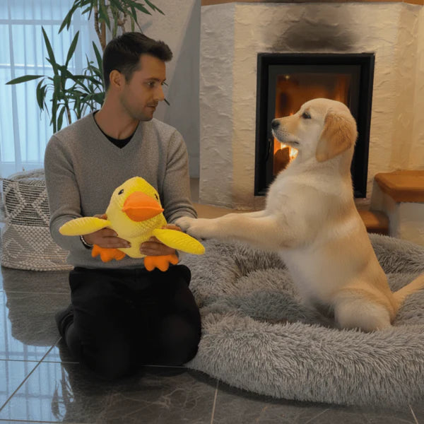 Canard anti-stress