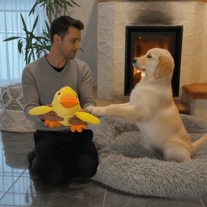 Canard anti-stress